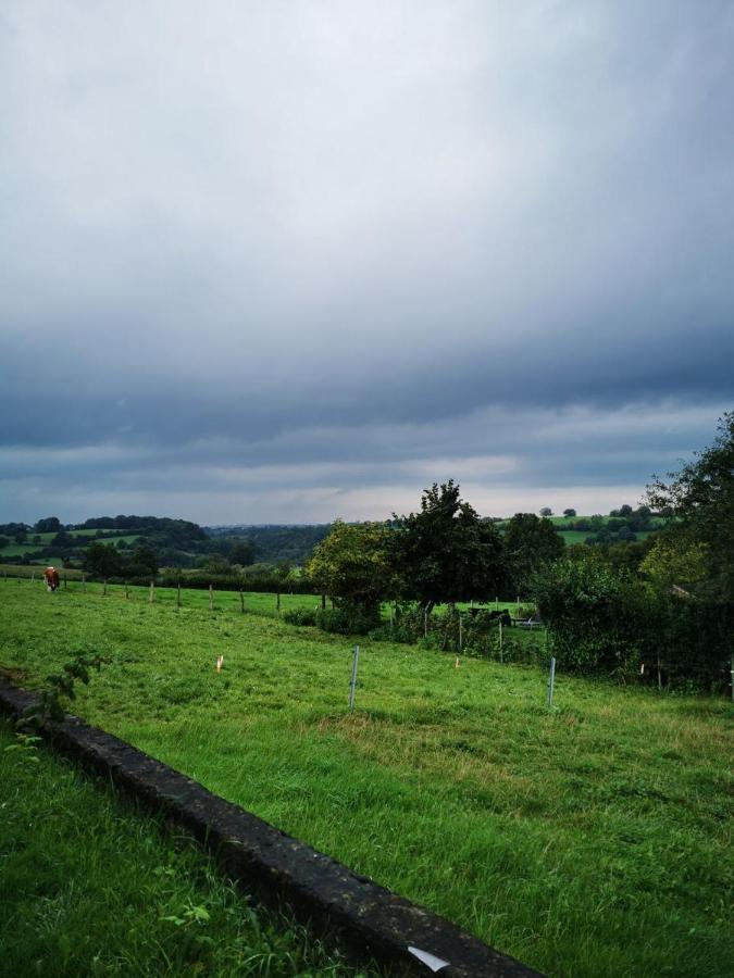 Studio Les Champs Baelen Dış mekan fotoğraf
