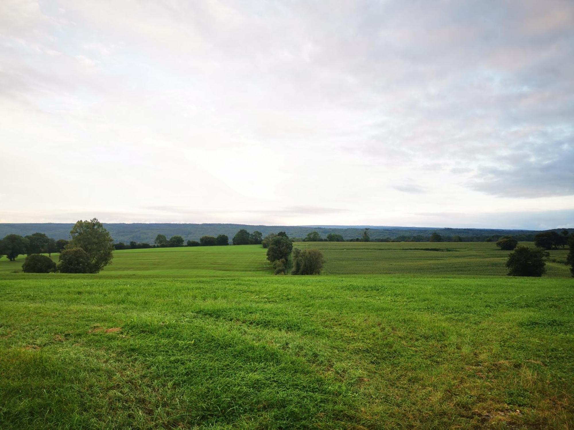 Studio Les Champs Baelen Dış mekan fotoğraf